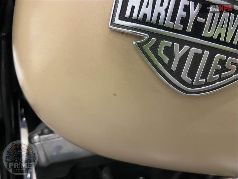 2015 Harley-Davidson FLS SOFTAIL SLIM — фото 32