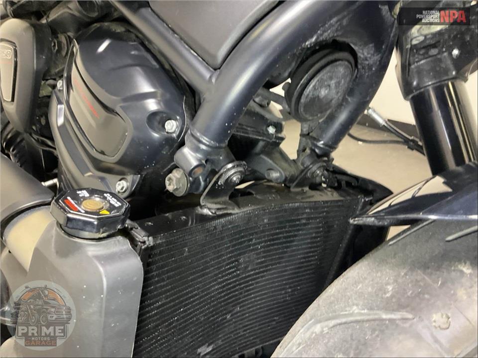 2025 Harley-Davidson RH1250S SPORTSTER S — фото 10
