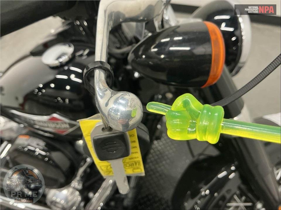 2018 Harley-Davidson FLSL SOFTTAIL SLIM — фото 27