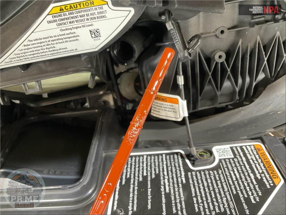 2024 Can-Am RYKER 600 ACE — фото 7
