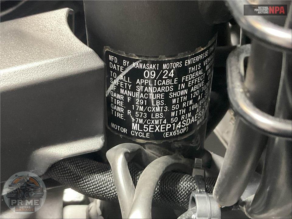 2025 Kawasaki EX650PSFAL NINJA 650 ABS — фото 31