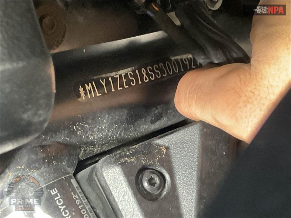 2025 Harley-Davidson RA1250ST PAN AMERICA SPECIAL — фото 25