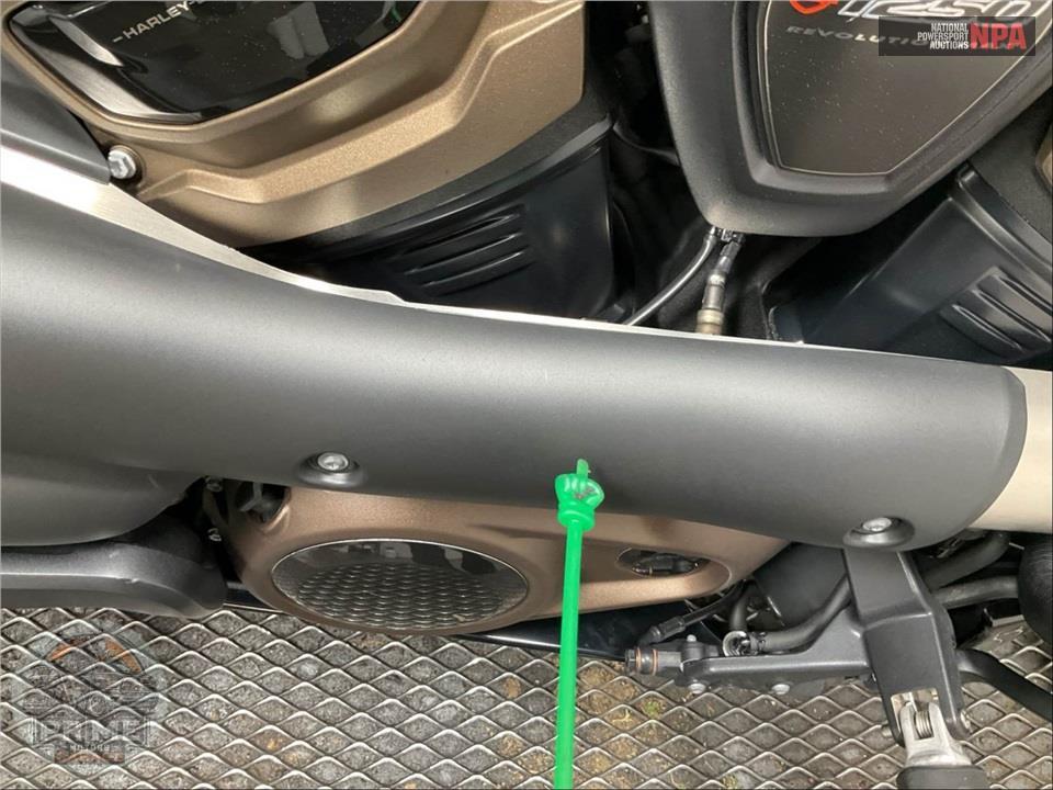 2024 Harley-Davidson RH1250S SPORTSTER S — фото 9