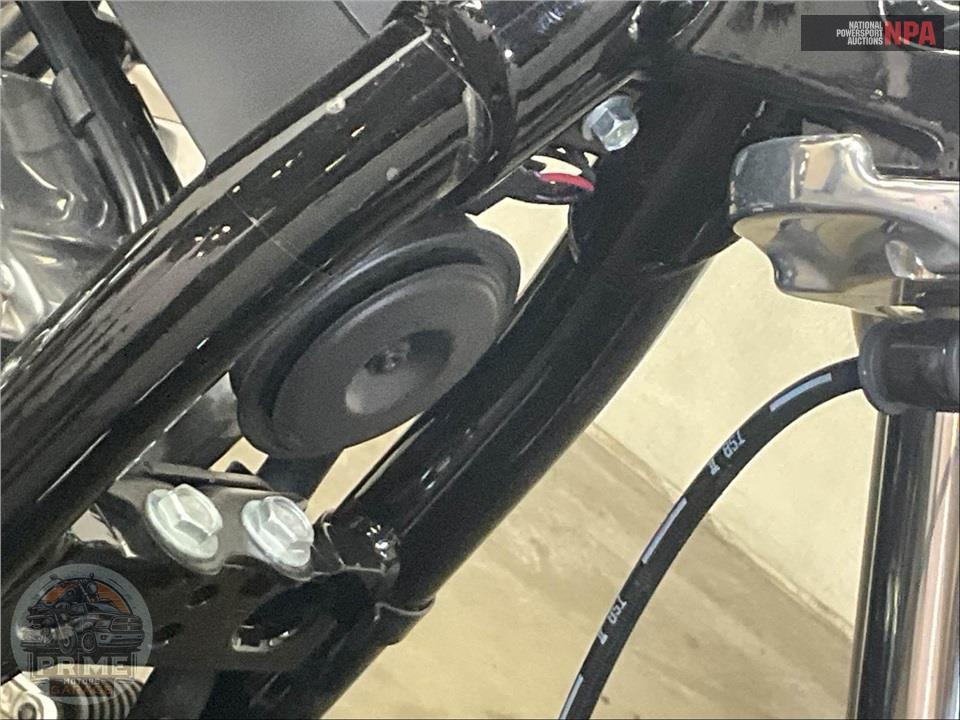 2024 Harley-Davidson FXST SOFTAIL STANDARD — фото 13