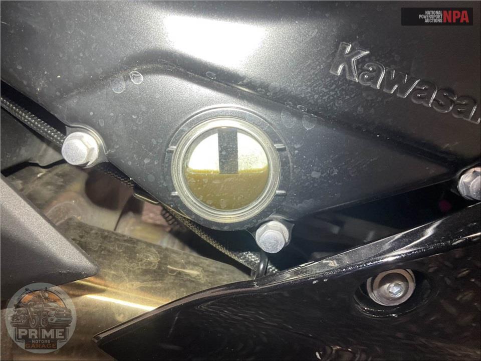 2025 Kawasaki EX650PSFAL NINJA 650 ABS — фото 6
