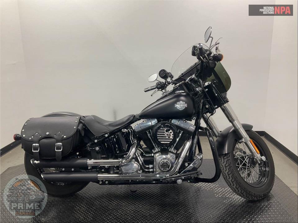 2013 Harley-Davidson FLS SOFTAIL SLIM — фото 1