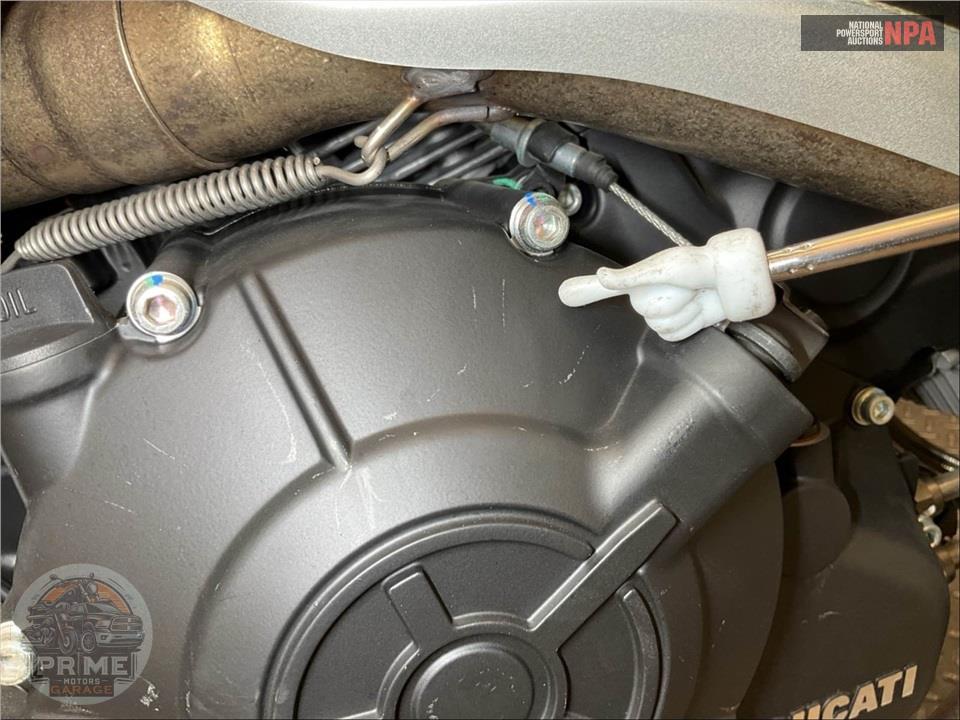 2020 Ducati MONSTER 797 PLUS (STAR WHITE SILK) — фото 10