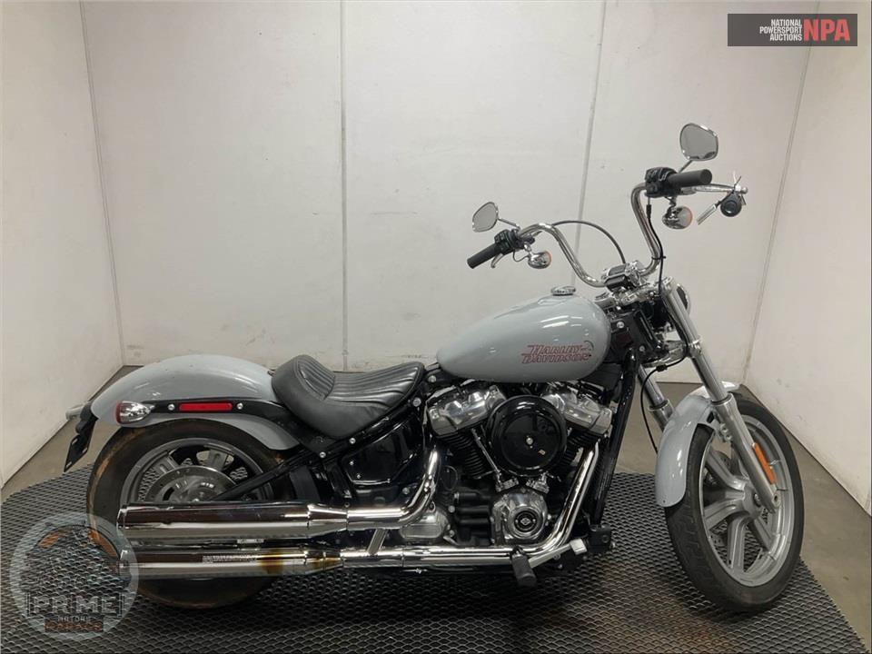 2024 Harley-Davidson FXST SOFTAIL STANDARD — фото 1
