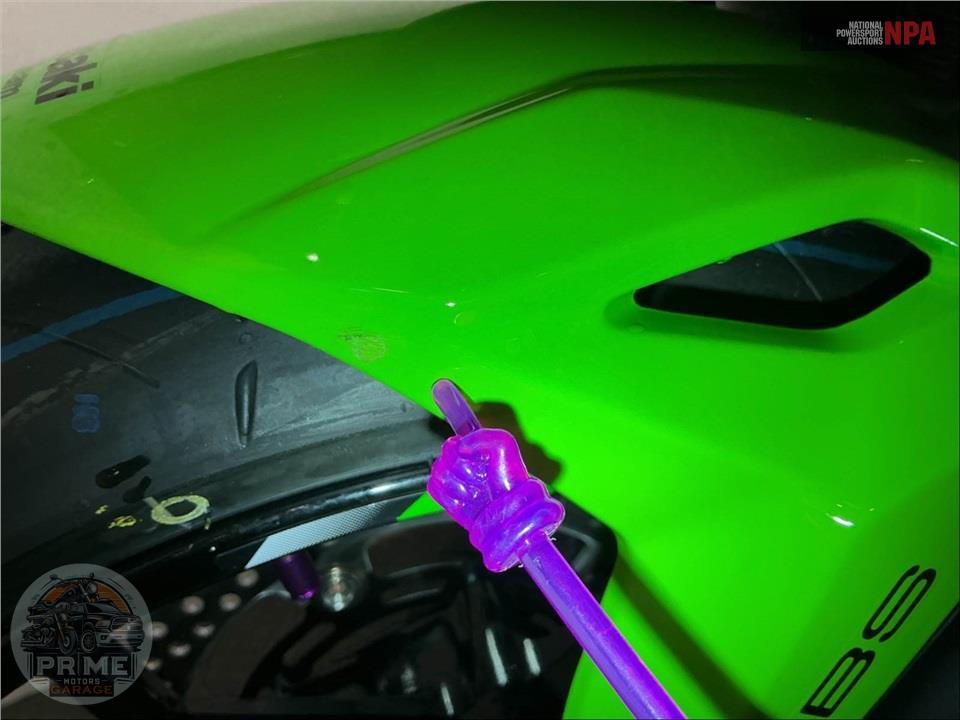 2025 Kawasaki EX650PSFAL NINJA 650 KRT (ABS) — фото 17