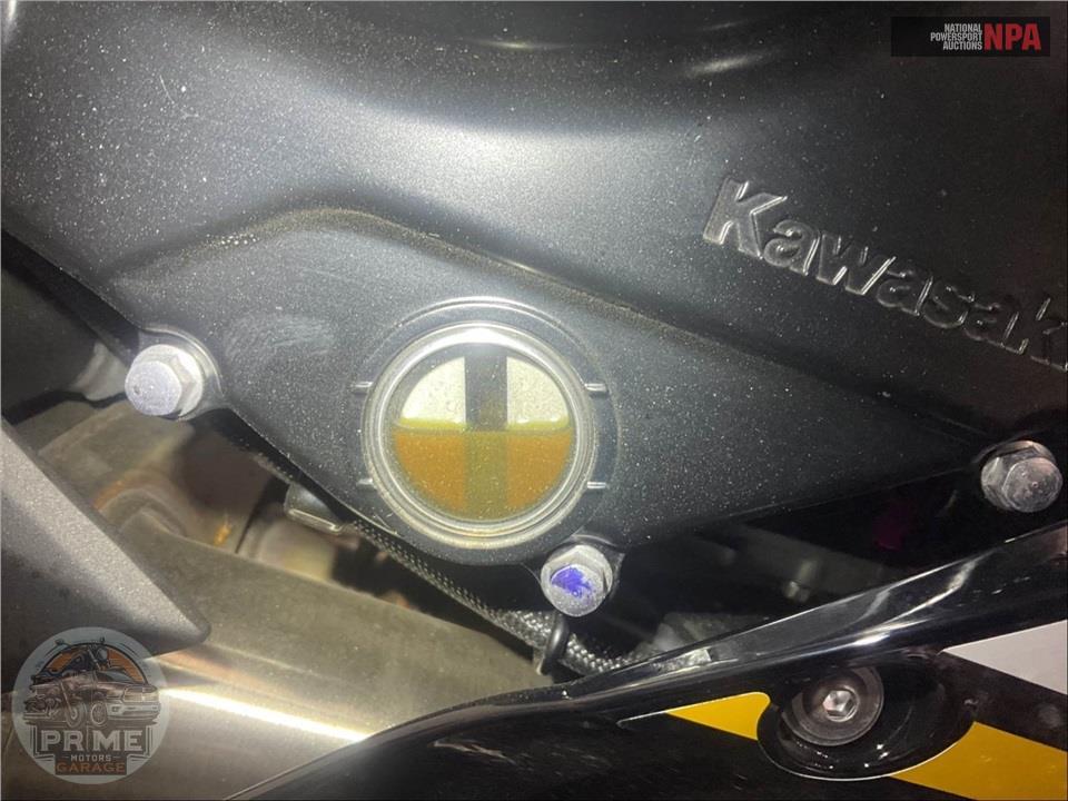 2025 Kawasaki EX650PSFAL NINJA 650 KRT (ABS) — фото 9