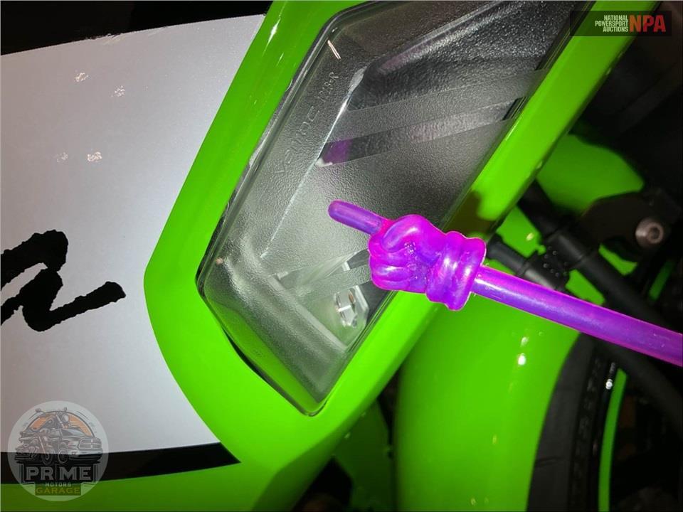 2025 Kawasaki EX650PSFAL NINJA 650 KRT (ABS) — фото 21