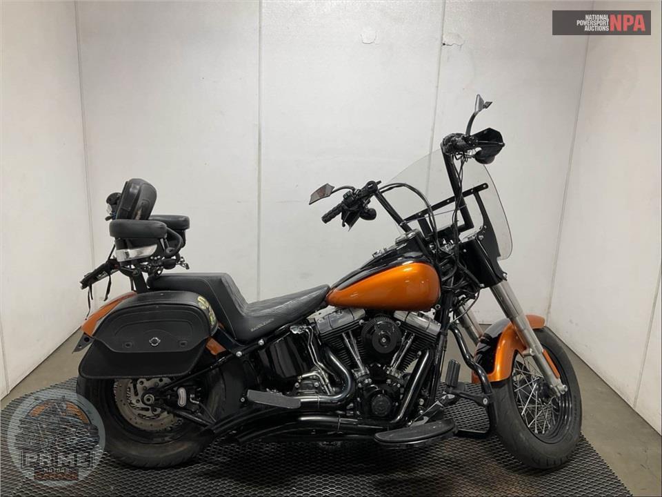 2015 Harley-Davidson FLS SOFTAIL SLIM — фото 1