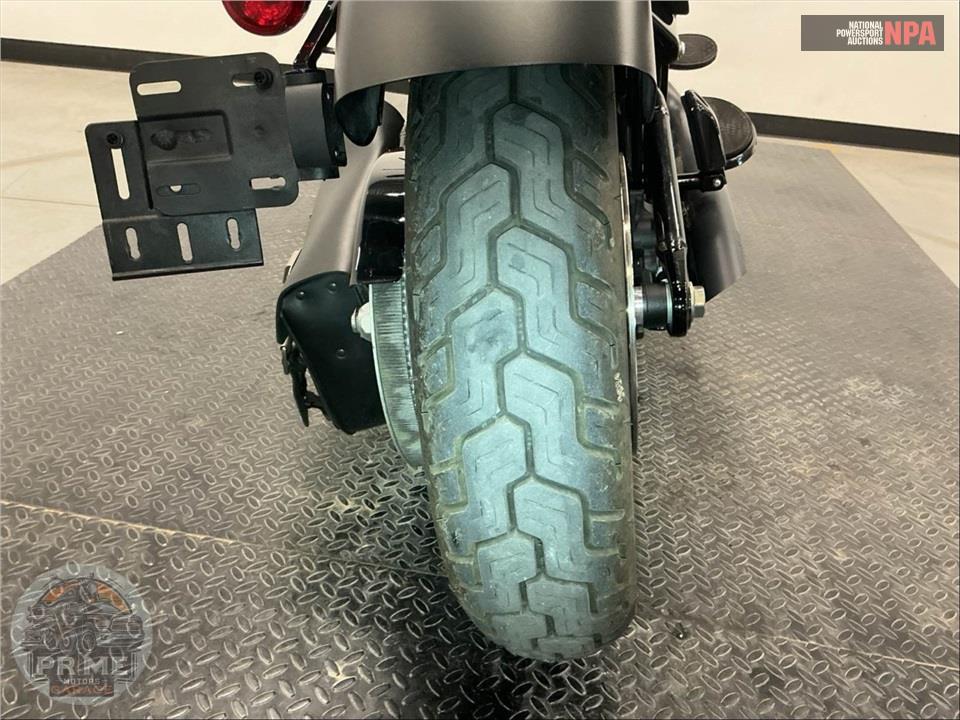 2013 Harley-Davidson FLS SOFTAIL SLIM — фото 21