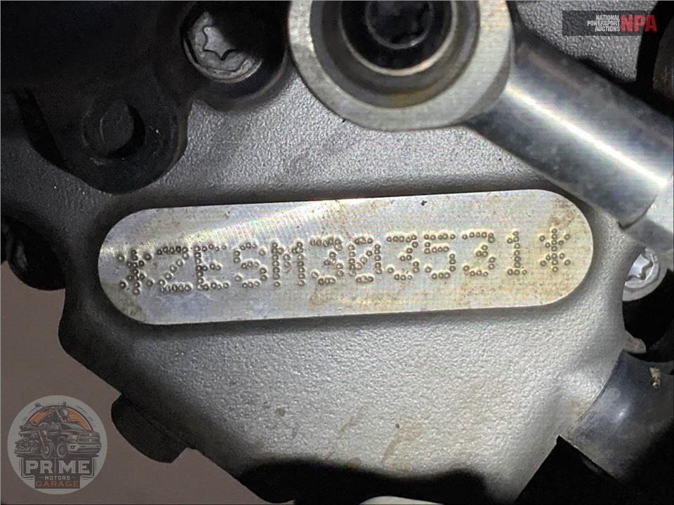 2021 Harley-Davidson RA1250S PAN AMERICA SPECIAL — фото 20