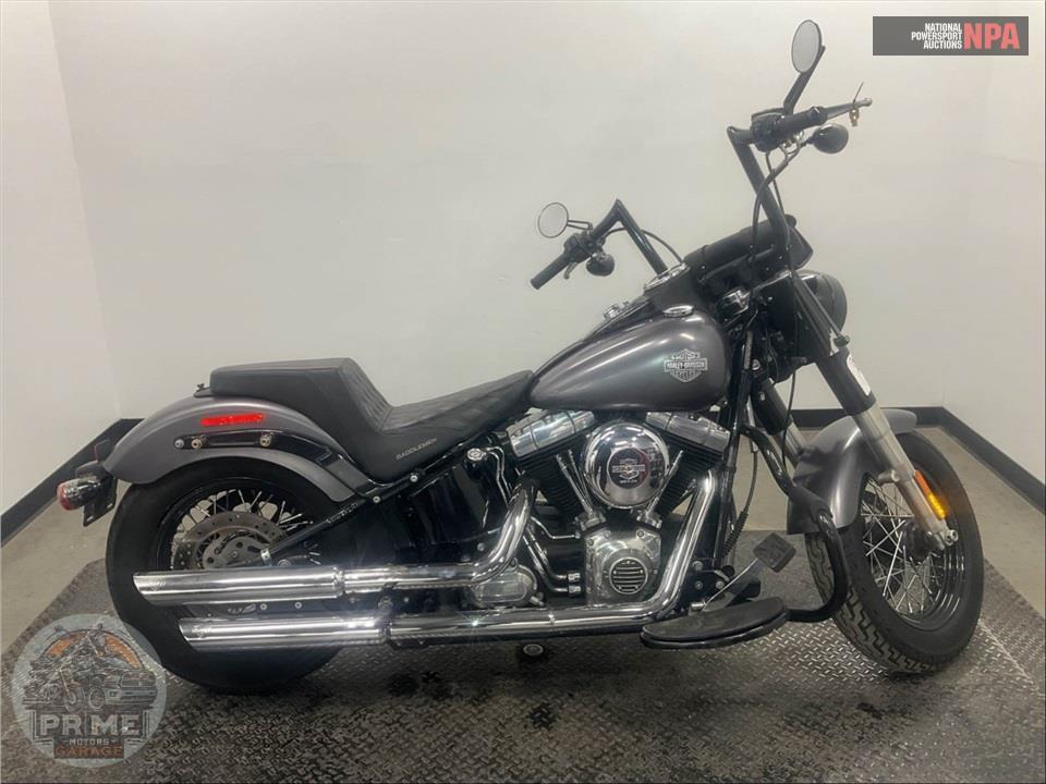 2014 Harley-Davidson FLS SOFTAIL SLIM — фото 1