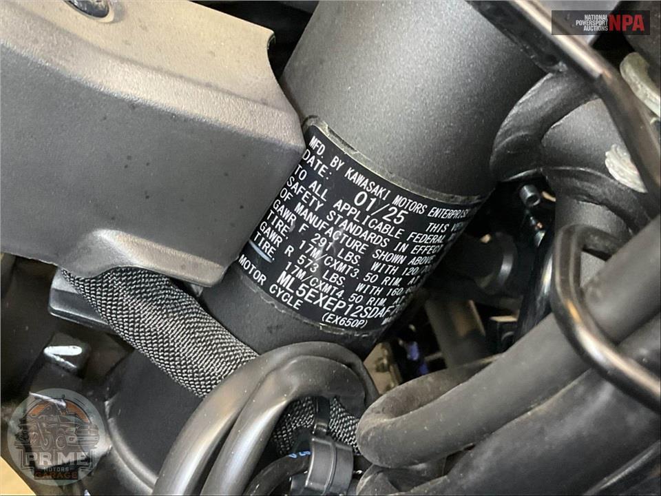 2025 Kawasaki EX650PSFAL NINJA 650 ABS — фото 21