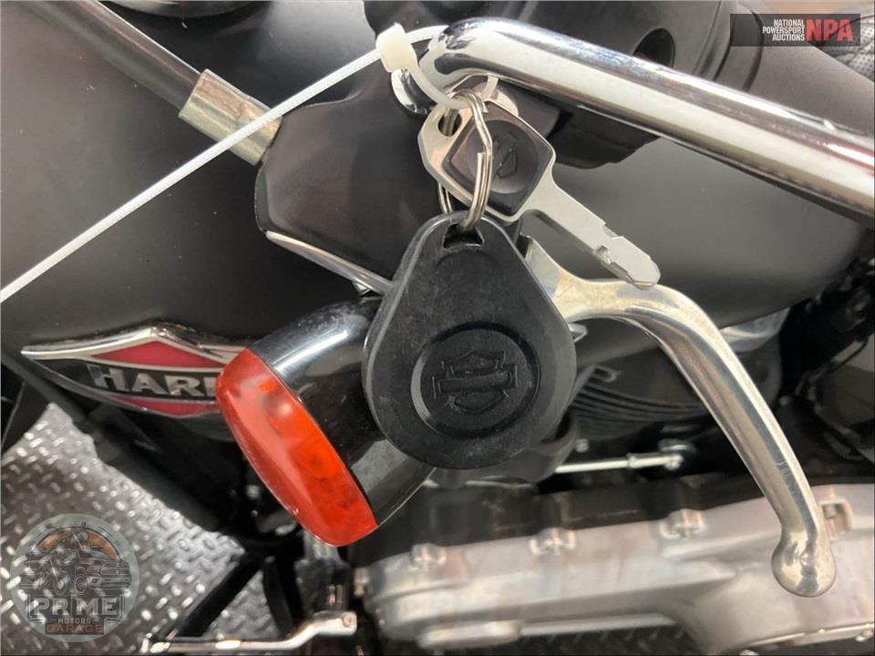 2018 Harley-Davidson FLSL SOFTTAIL SLIM — фото 12