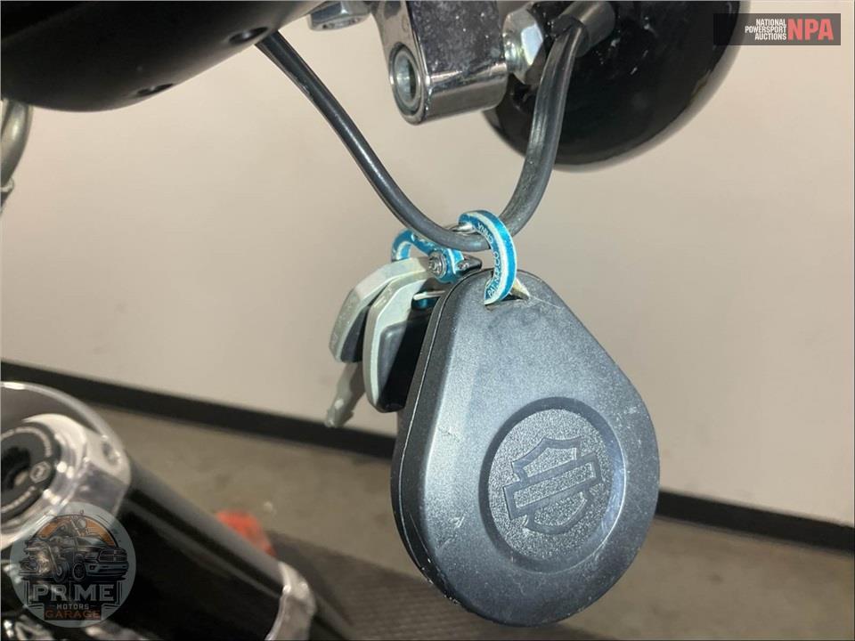 2020 Harley-Davidson FLSL SOFTAIL SLIM — фото 12