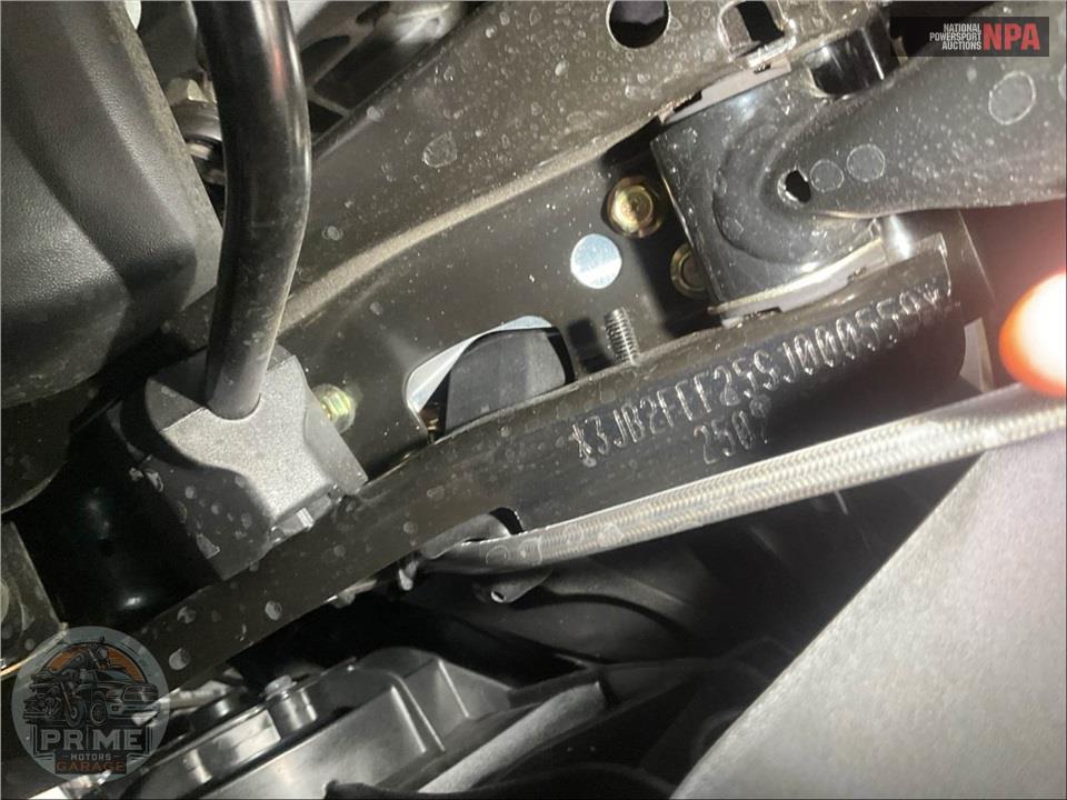 2025 Can-Am RYKER 600 ACE — фото 25