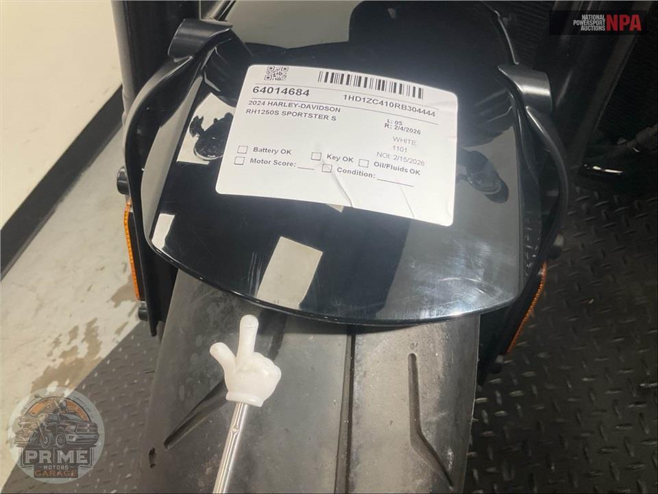 2024 Harley-Davidson RH1250S SPORTSTER S — фото 12