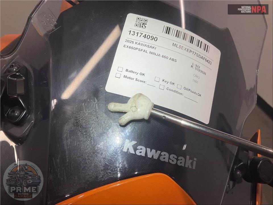2025 Kawasaki EX650PSFAL NINJA 650 ABS — фото 15