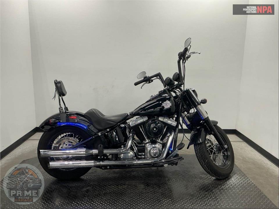 2015 HARLEY-DAVIDSON FLS SOFTAIL SLIM