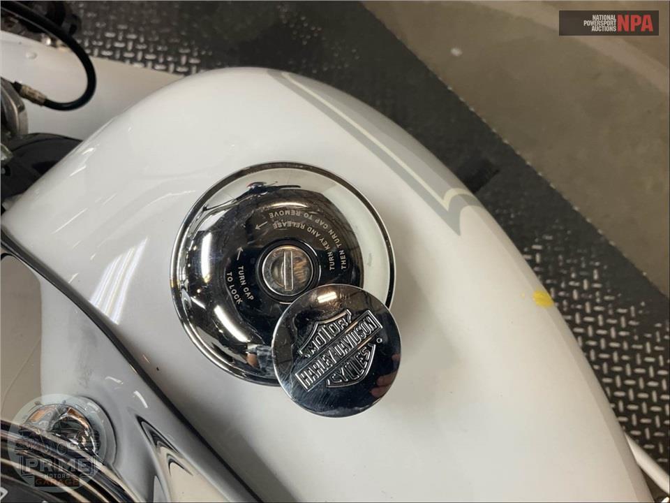 2021 Harley-Davidson FLSB SPORT GLIDE — фото 13