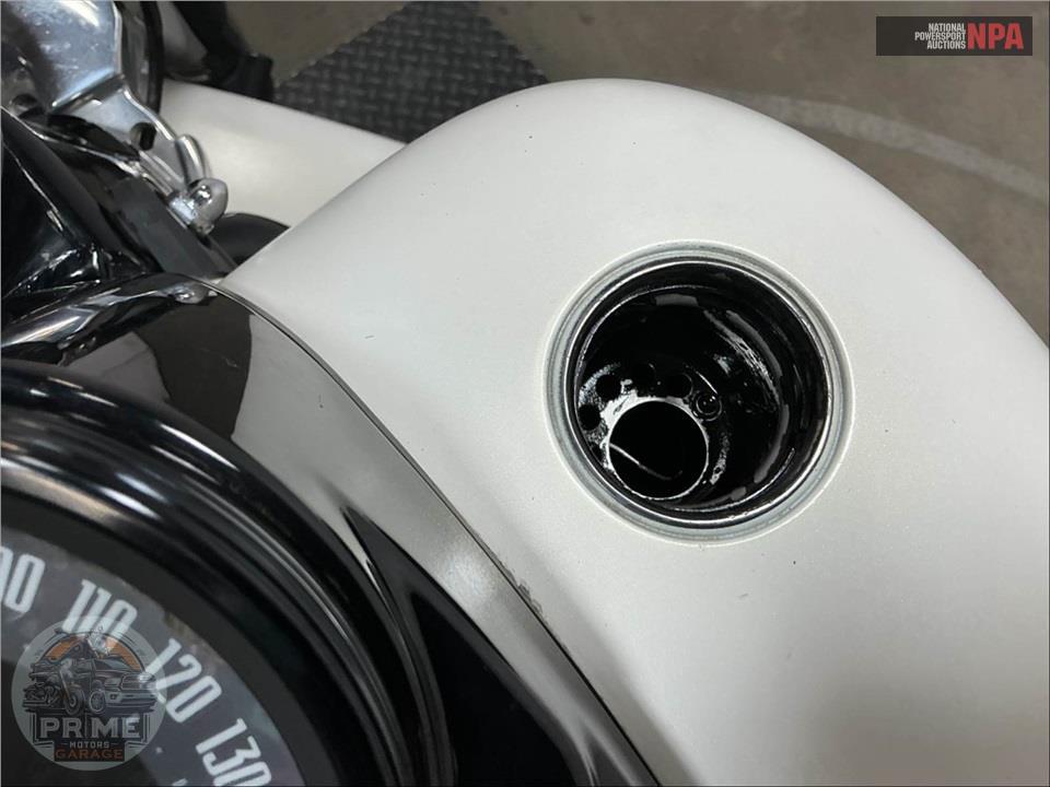 2018 Harley-Davidson FLSL SOFTTAIL SLIM — фото 18
