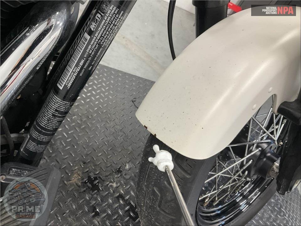 2018 Harley-Davidson FLSL SOFTTAIL SLIM — фото 15
