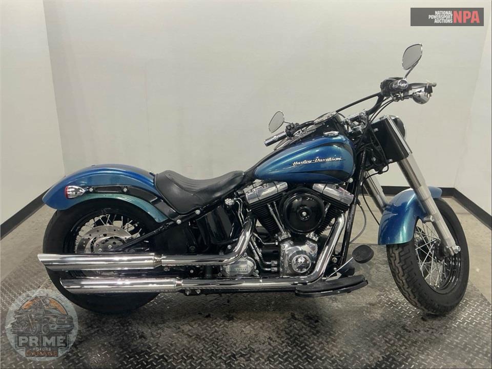 2014 Harley-Davidson FLS SOFTAIL SLIM — фото 1