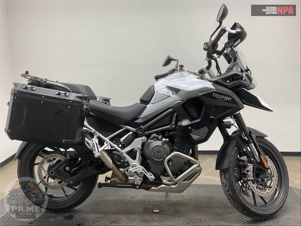 2025 Triumph TIGER 1200 GT PRO — фото 1