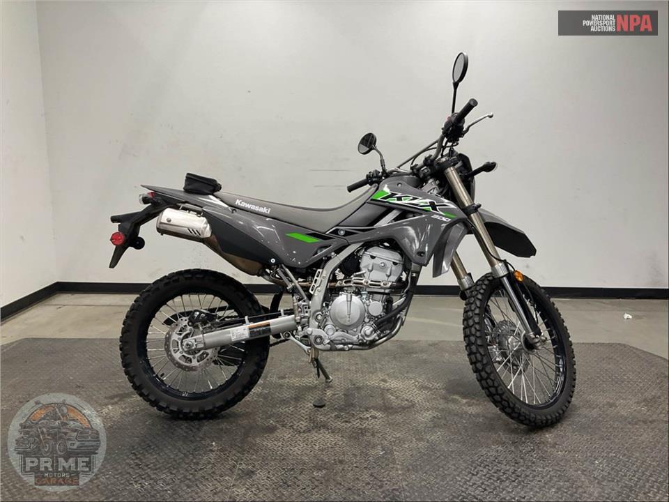 2025 Kawasaki KLX300FSFNN KLX 300 — фото 1