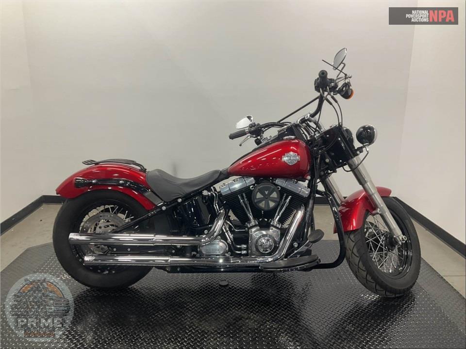 2013 Harley-Davidson FLS SOFTAIL SLIM — фото 1