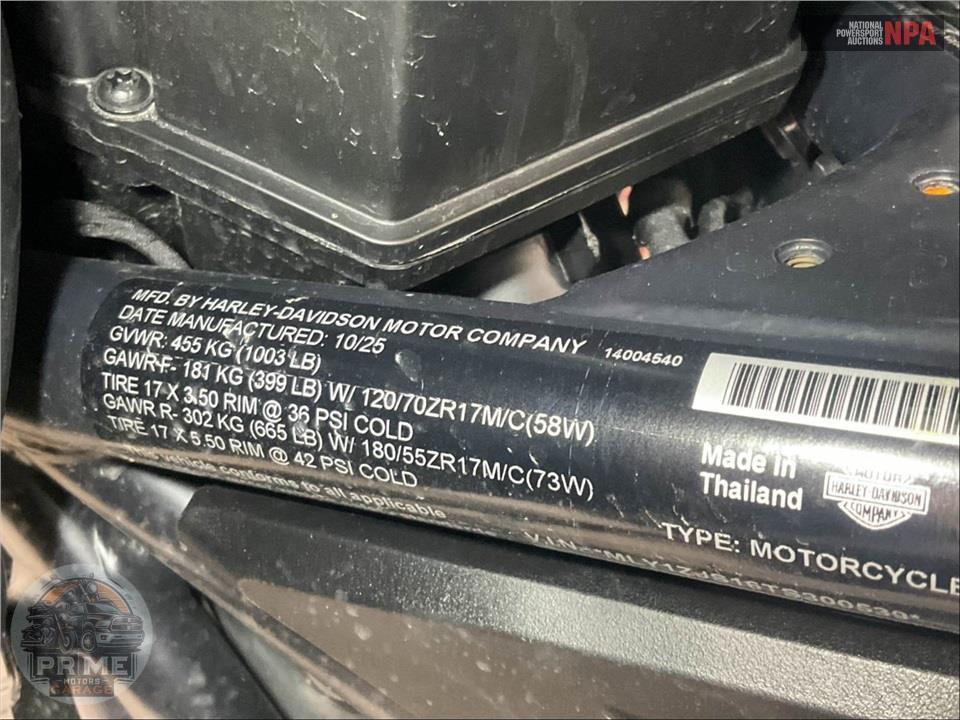 2026 Harley-Davidson RA1250L PAN AMERICA — фото 16