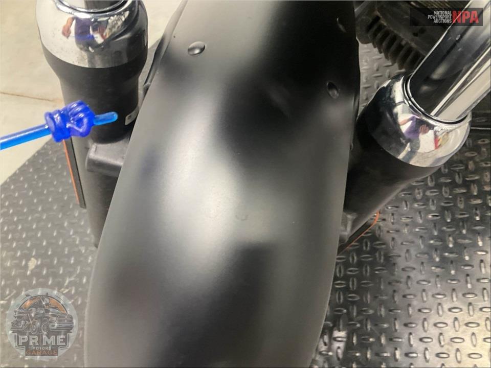 2025 Harley-Davidson RH975S NIGHTSTER SPECIAL — фото 17