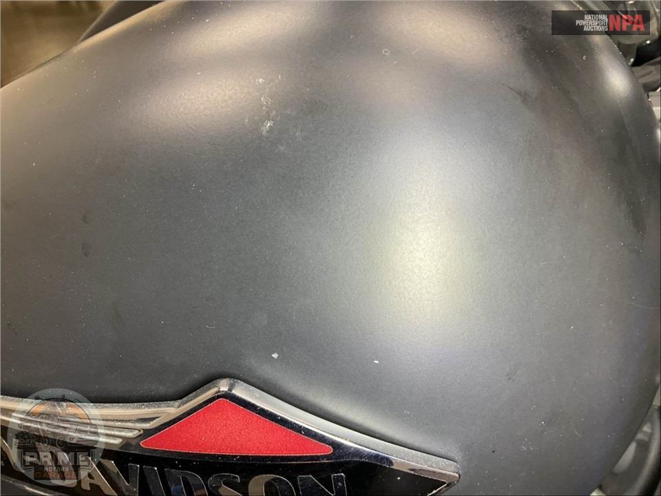 2018 Harley-Davidson FLSL SOFTTAIL SLIM — фото 18
