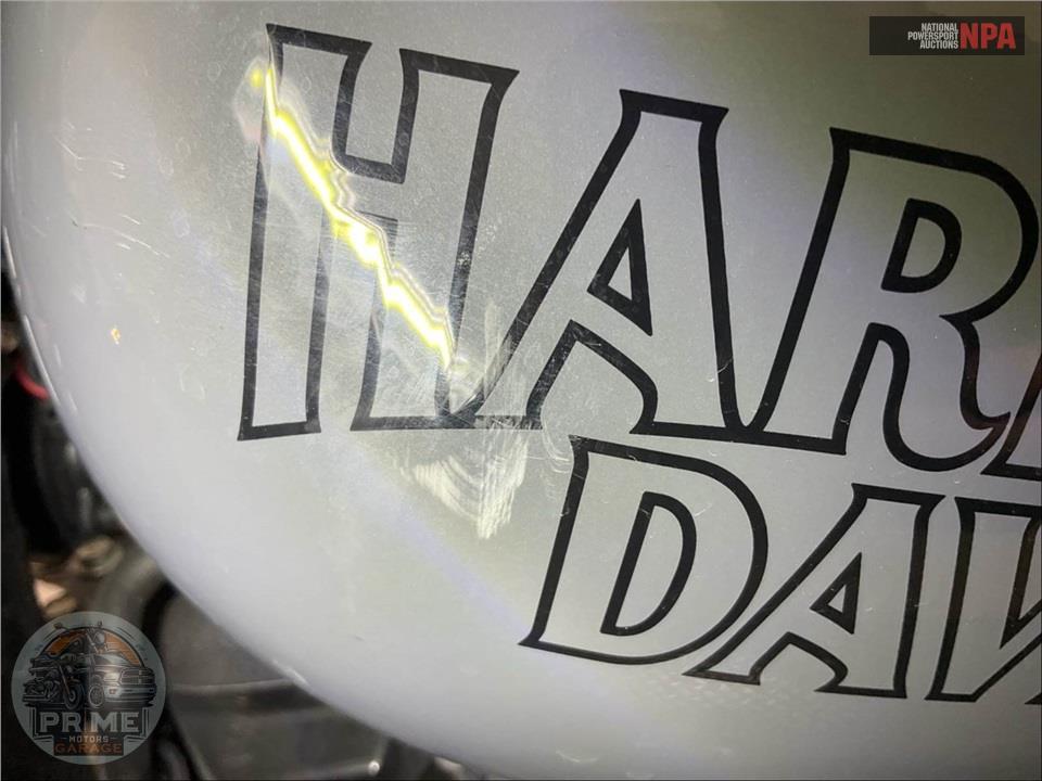 2022 Harley-Davidson FXLRS LOW RIDER S — фото 13