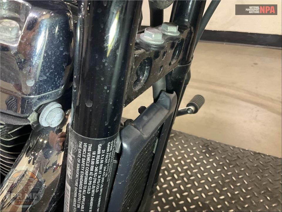 2018 Harley-Davidson FXBRS BREAKOUT 114 ANNIVERSARY — фото 15