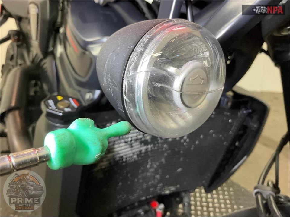 2025 Harley-Davidson RA1250ST PAN AMERICA 1250 ST — фото 20