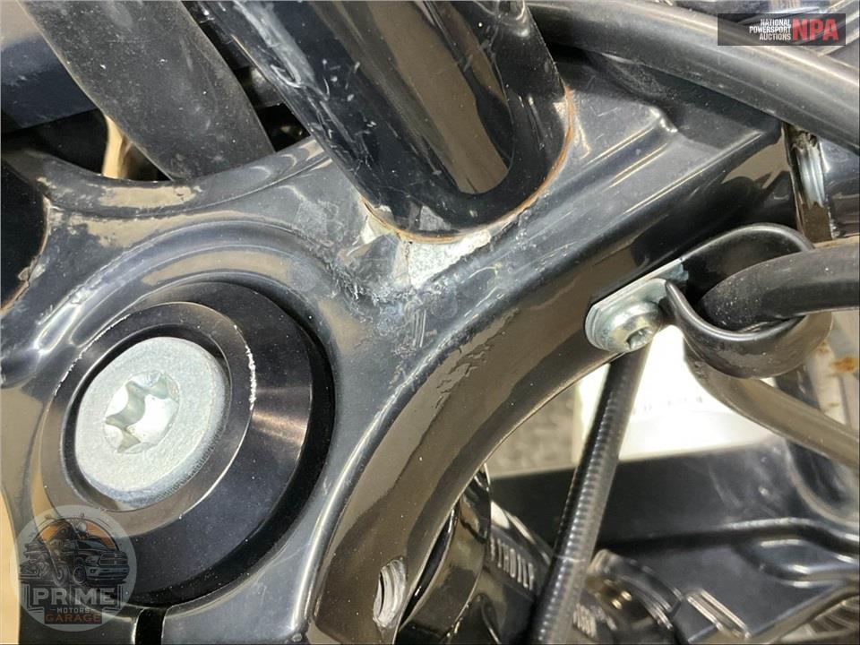 2020 Harley-Davidson XL1200NS IRON — фото 35