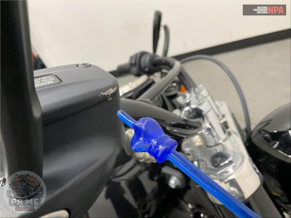 2018 Harley-Davidson FLSL SOFTTAIL SLIM — фото 19