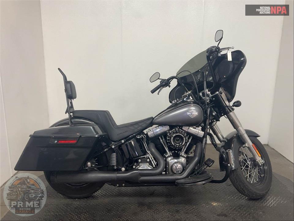 2015 Harley-Davidson FLS SOFTAIL SLIM — фото 1