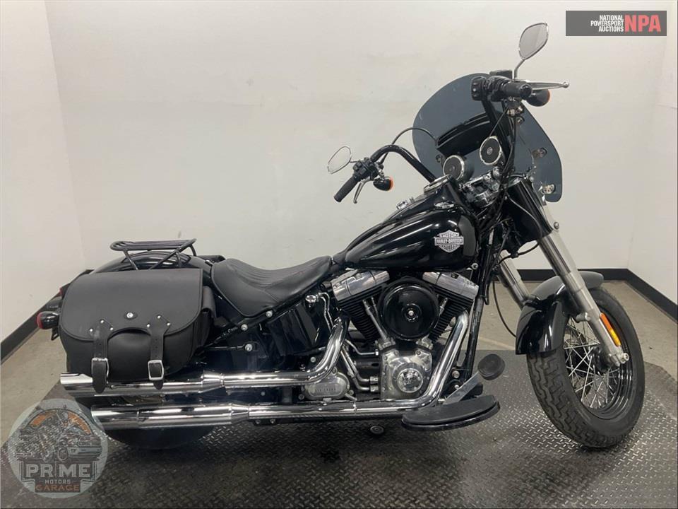 2015 Harley-Davidson FLS SOFTAIL SLIM — фото 1