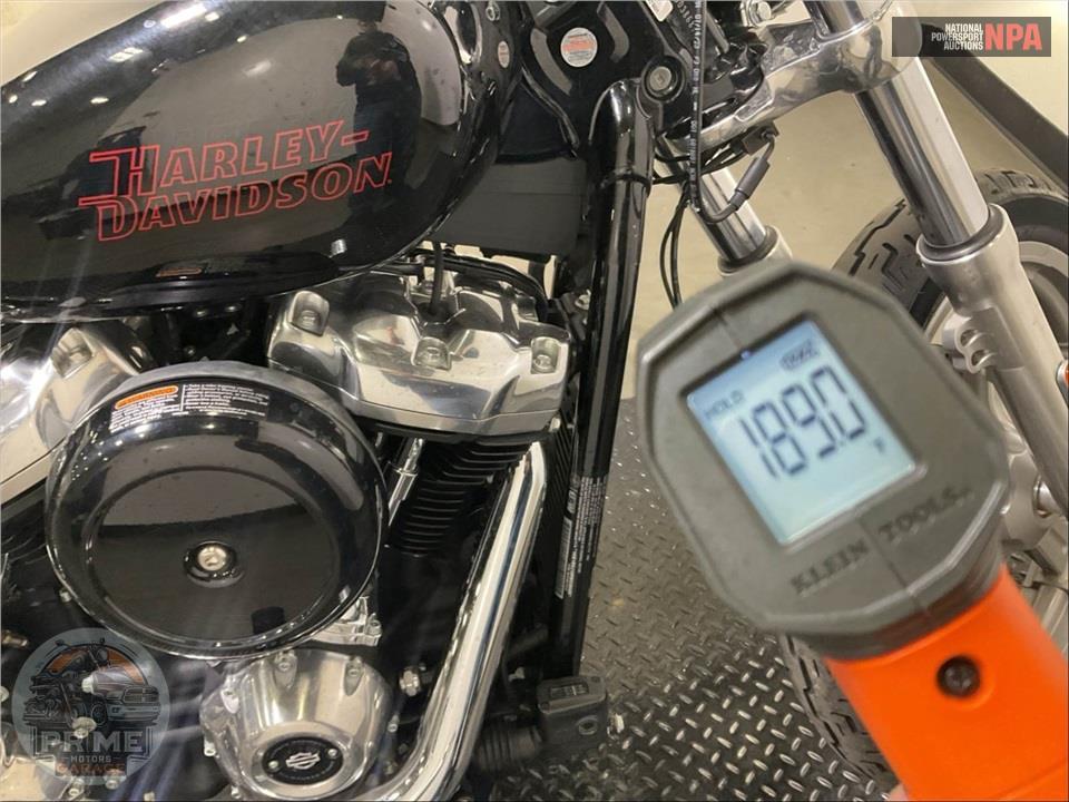 2024 Harley-Davidson FXST SOFTAIL STANDARD — фото 8