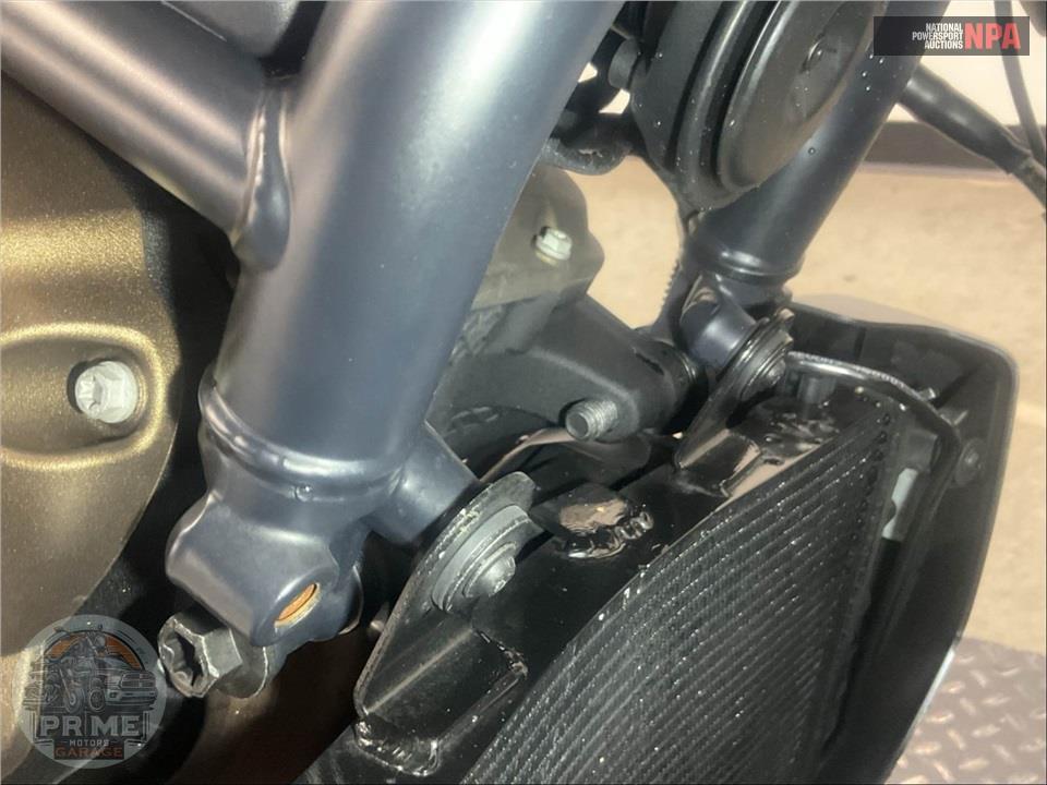 2023 Harley-Davidson RH1250S SPORTSTER S — фото 11