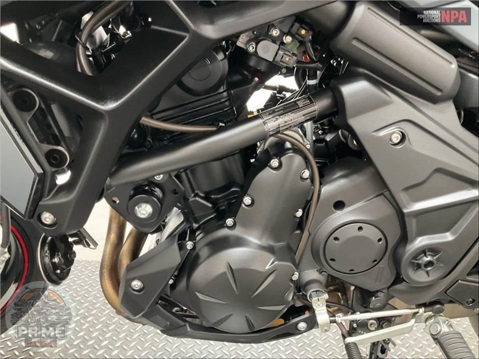 2024 Kawasaki KLE650HRFXL VERSYS 650 LT — фото 7