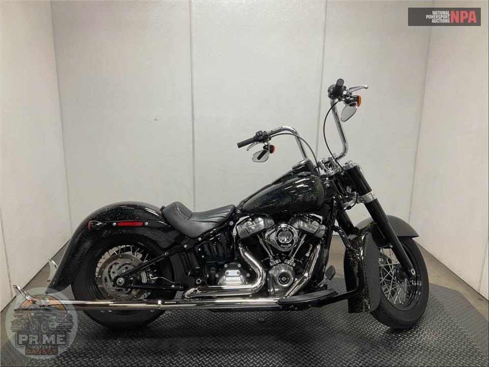 2021 Harley-Davidson FLSL SOFTAIL SLIM — фото 1