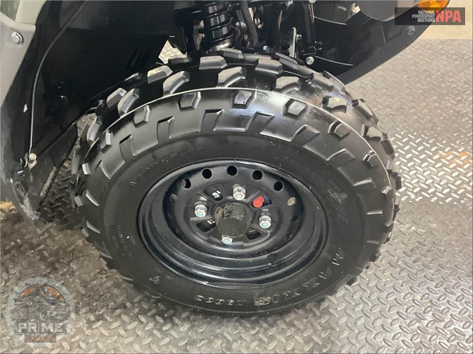 2024 Honda TRX250TE FOURTRAX RECON (ELECTRIC SHIFT) — фото 16