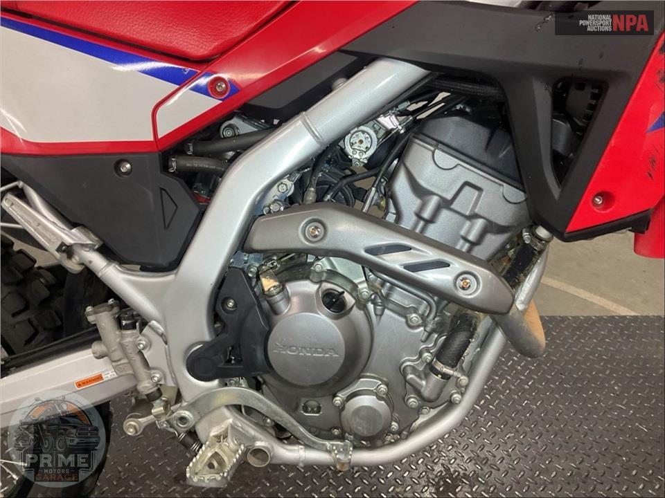 2025 Honda CRF300LA (ABS) — фото 6