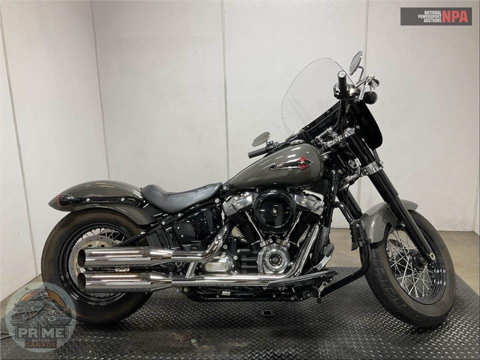2019 Harley-Davidson FLSL SOFTAIL SLIM — фото 1